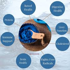Amazing Benefits of Blue Spirulina