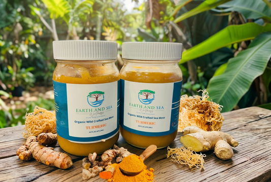 Turmeric Sea Moss Gel Benefits: A Guide to Our Golden Wellness Blend