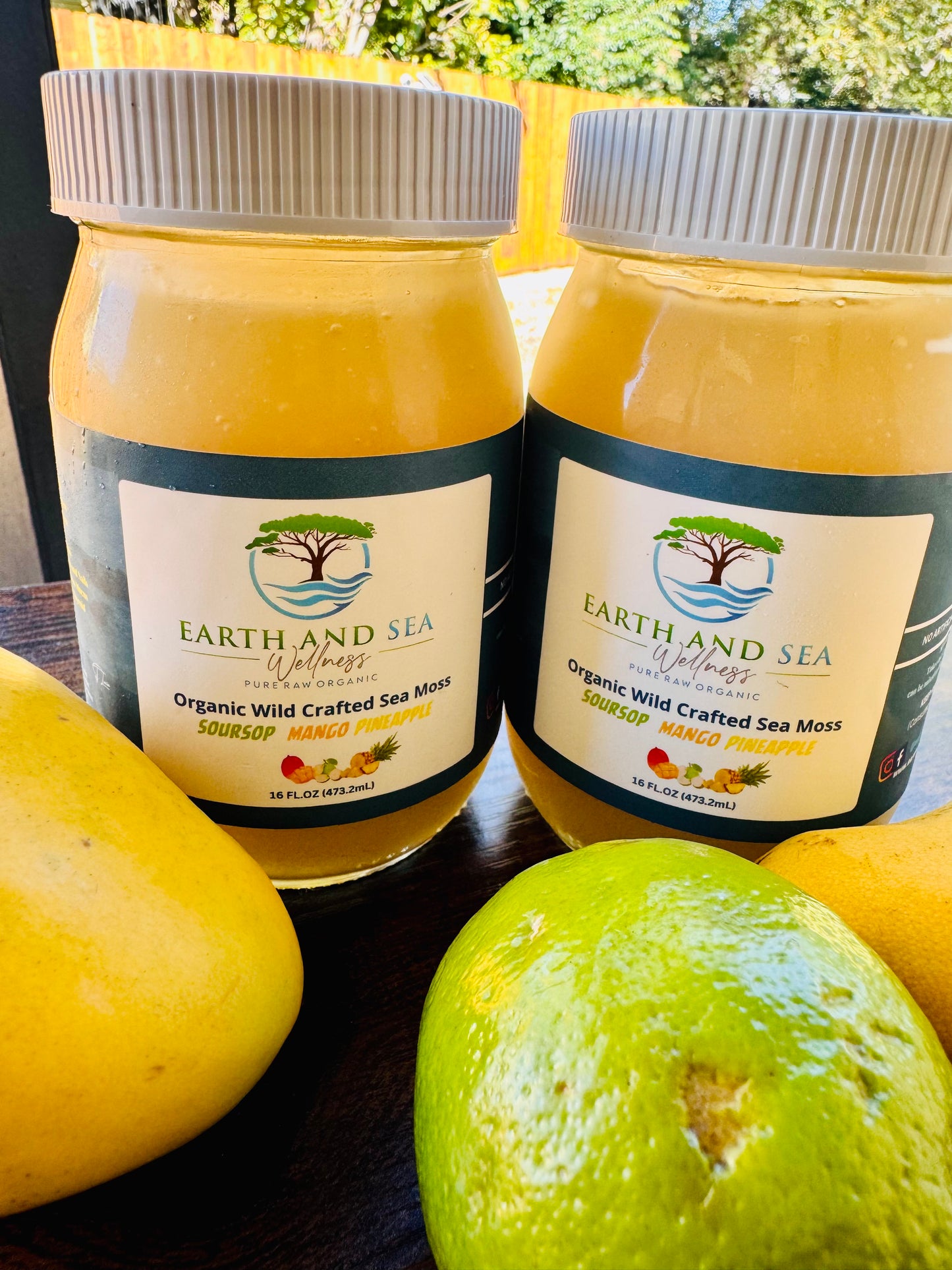 New! Pre-Sweetened Soursop Mango Pineapple Sea Moss Gel