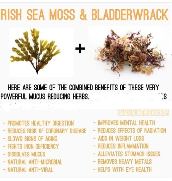 ORGANIC SEA MOSS W/ BLADDERWRACK (16 OZ)