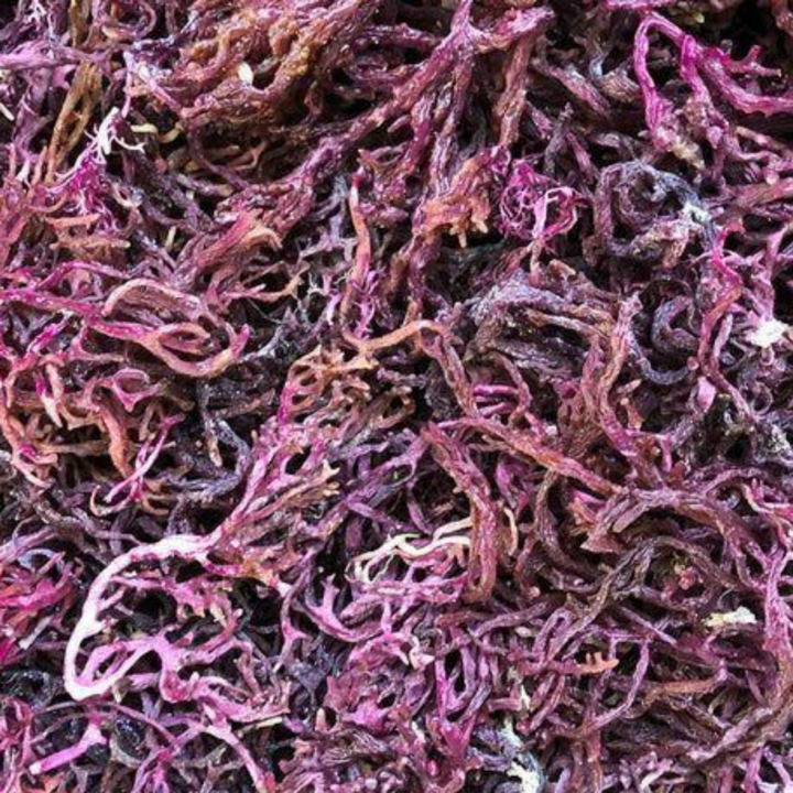 ORGANIC PURPLE SEA MOSS (16 OZ)