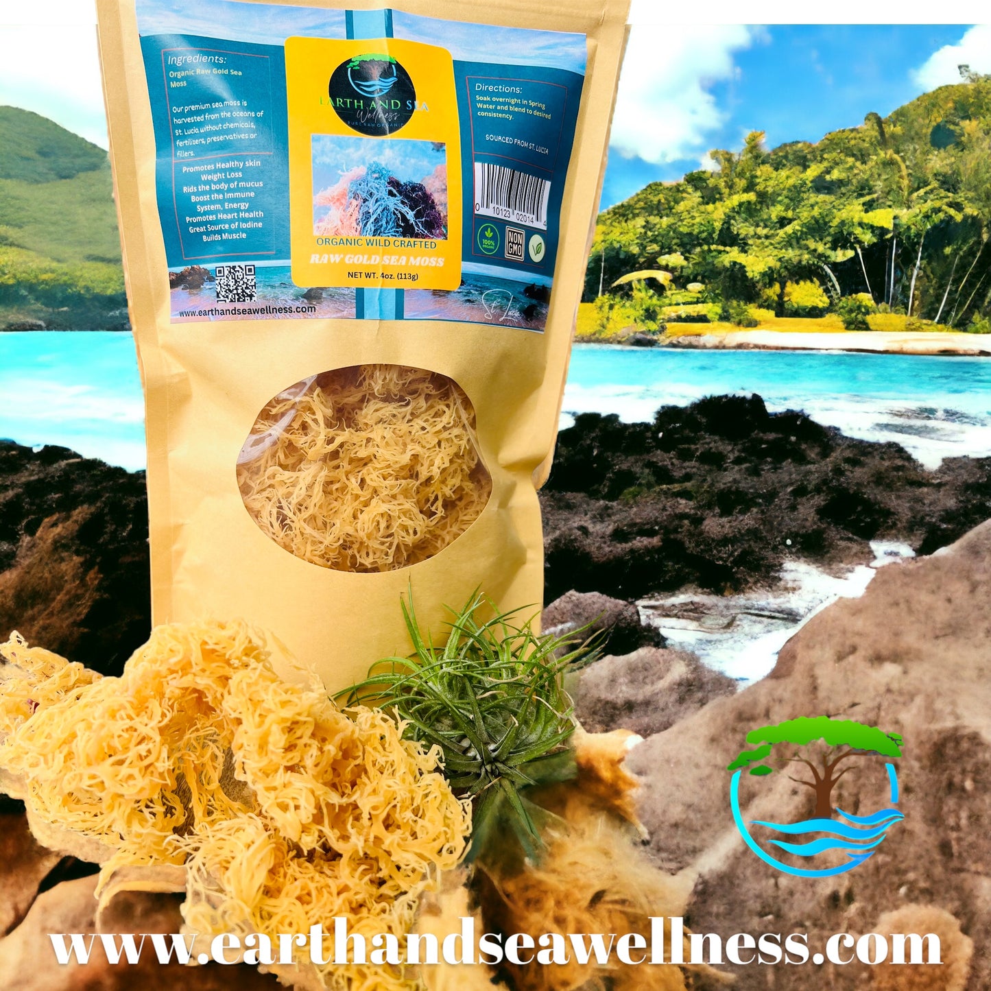 RAW GOLD WILD CRAFTED SEA MOSS (4OZ)