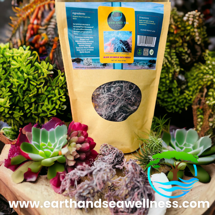 Wild Crafted Sea Moss – Earth and Sea Wellness