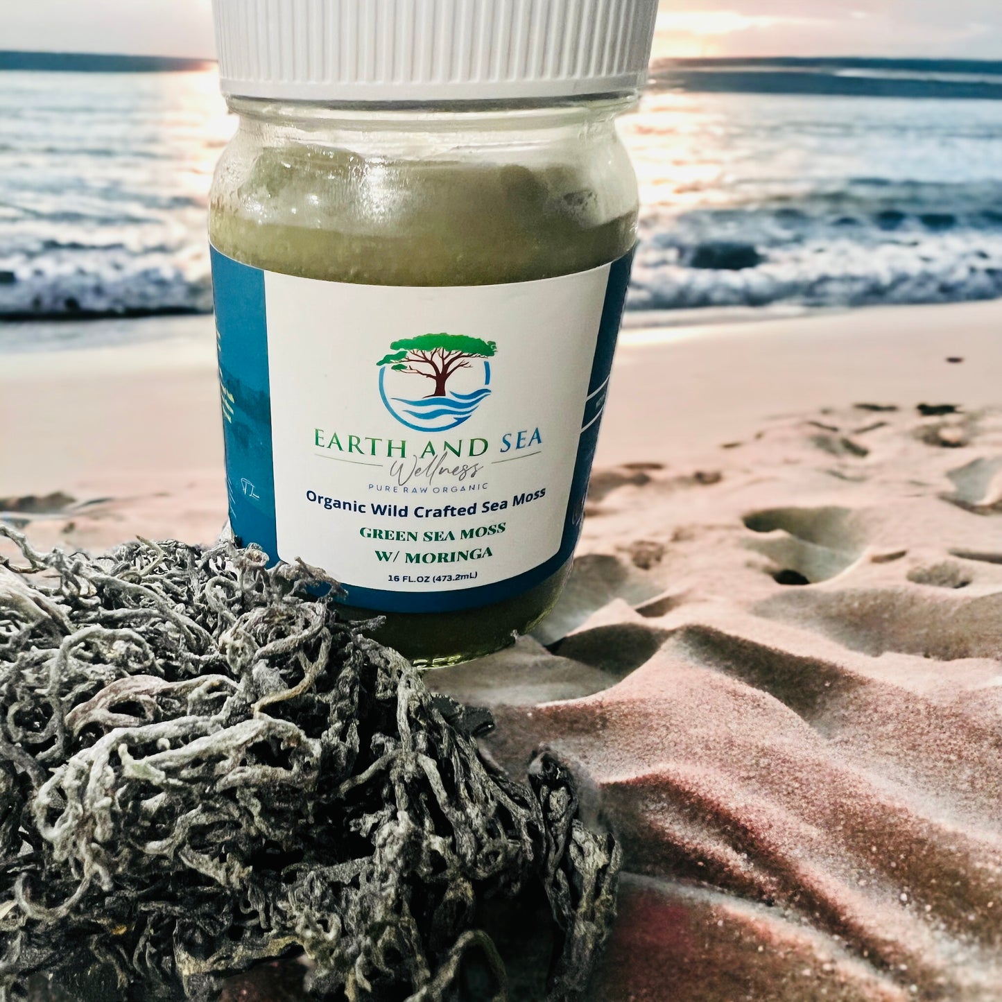 ORGANIC GREEN SEA MOSS W/MORINGA (16 OZ)