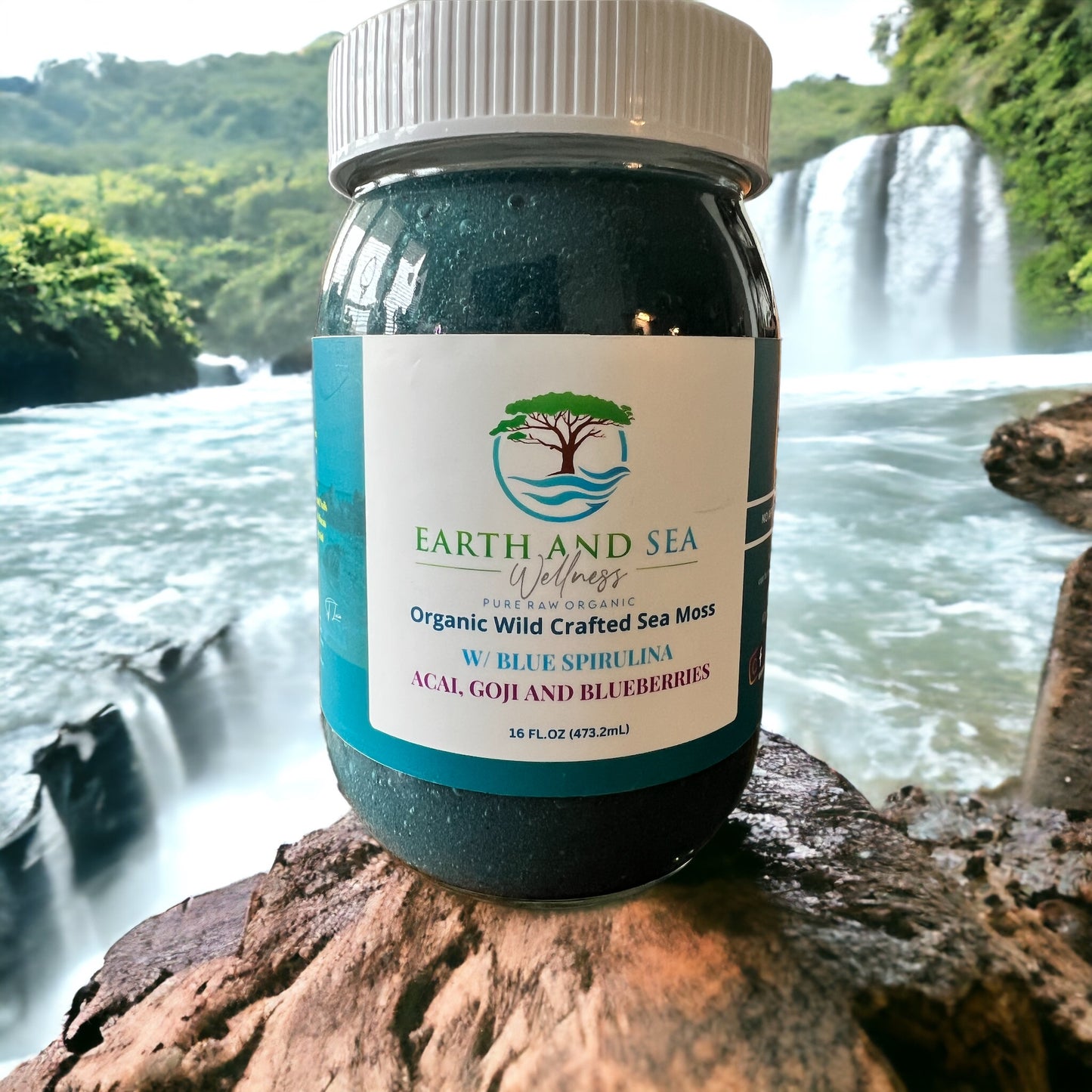 ORGANIC SEA MOSS W/BLUE SPIRULINA (16oz)