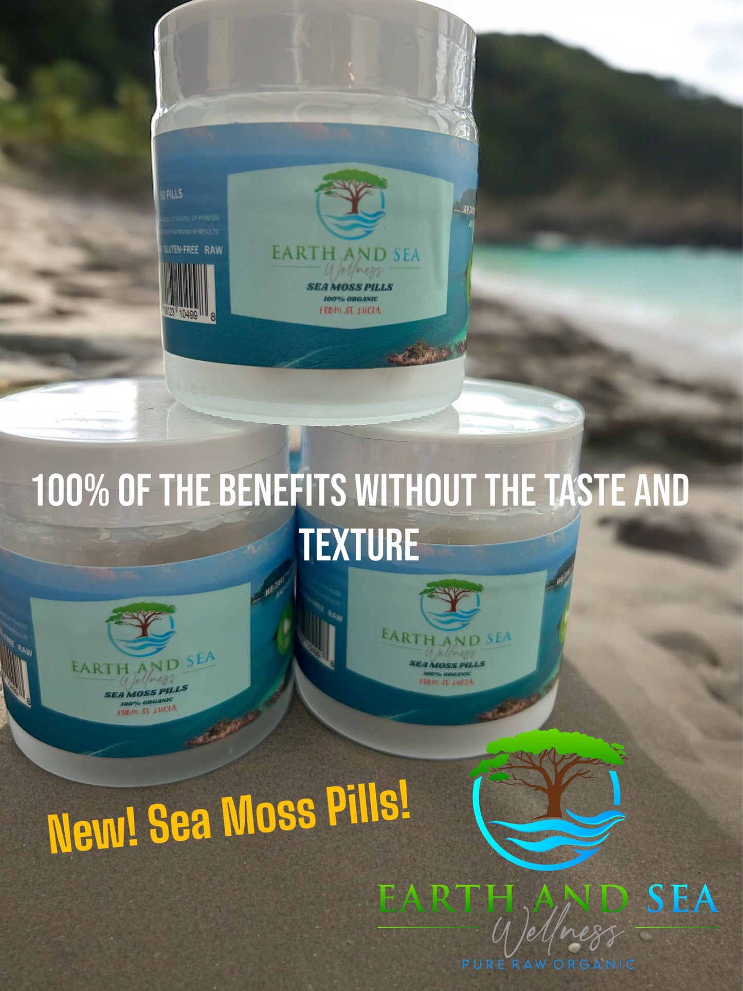 New! Sea Moss Pills!